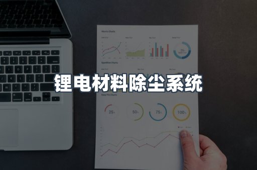 锂电材料除尘系统