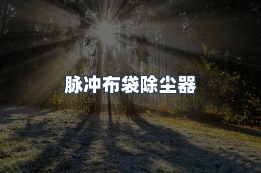脉冲布袋除尘器